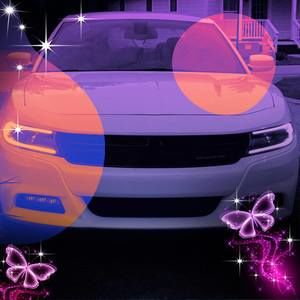 Meet your Posher, Abigail